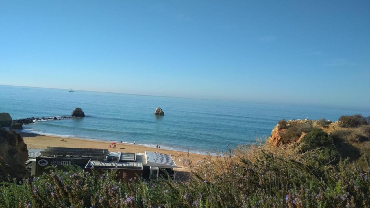 אלבור Albur Village B - Hyacinth מראה חיצוני תמונה